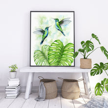 Kolibrier og Monstera Deliciosa