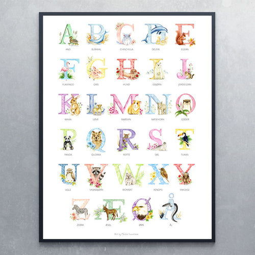ABC plakat - Alfabet plakat
