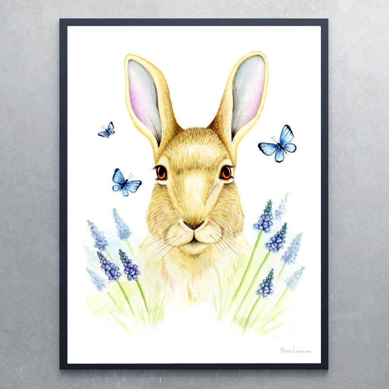 Plakat af hare - Art by Mette Laustsen